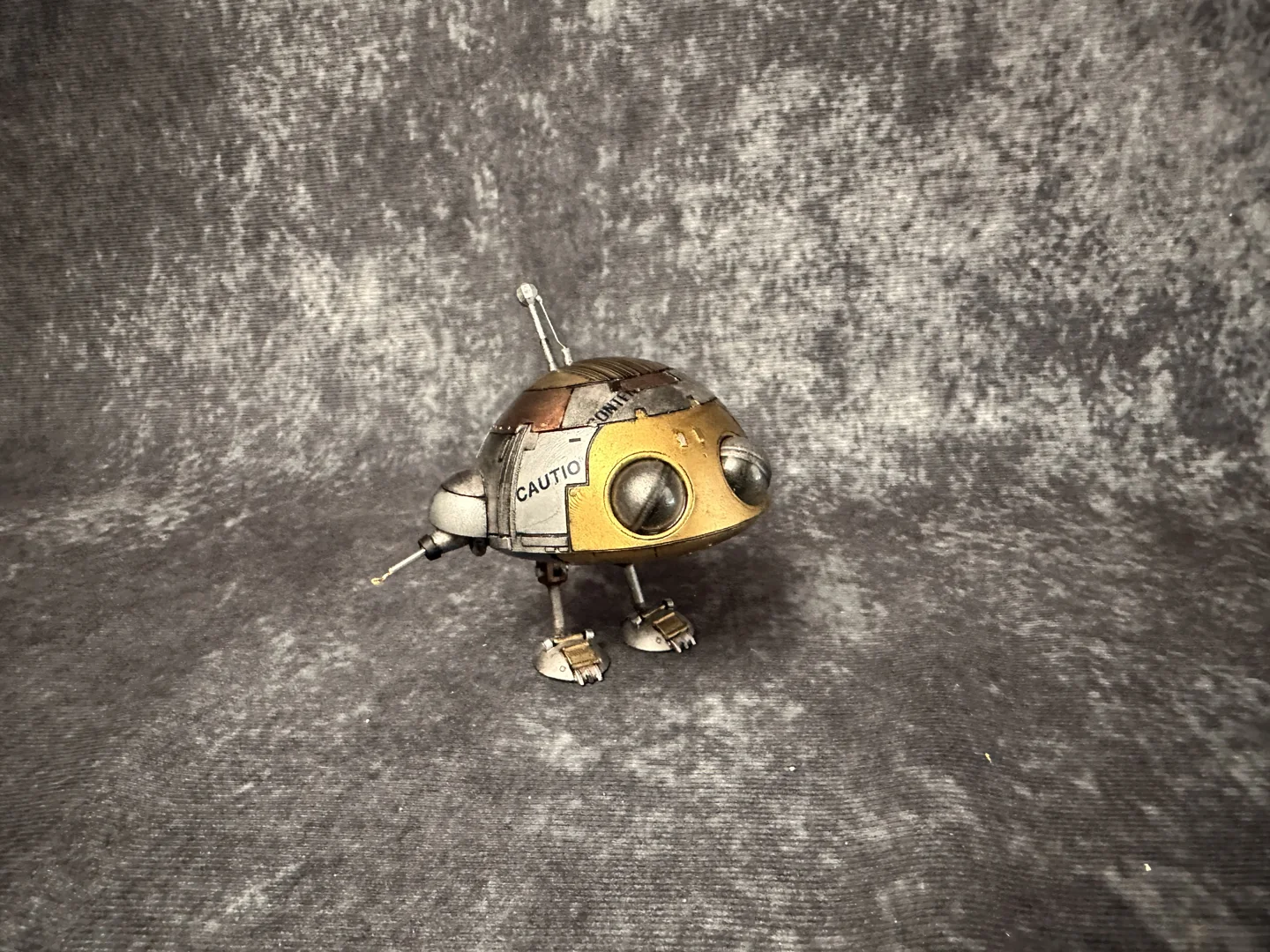 Wheems — original photograph 9