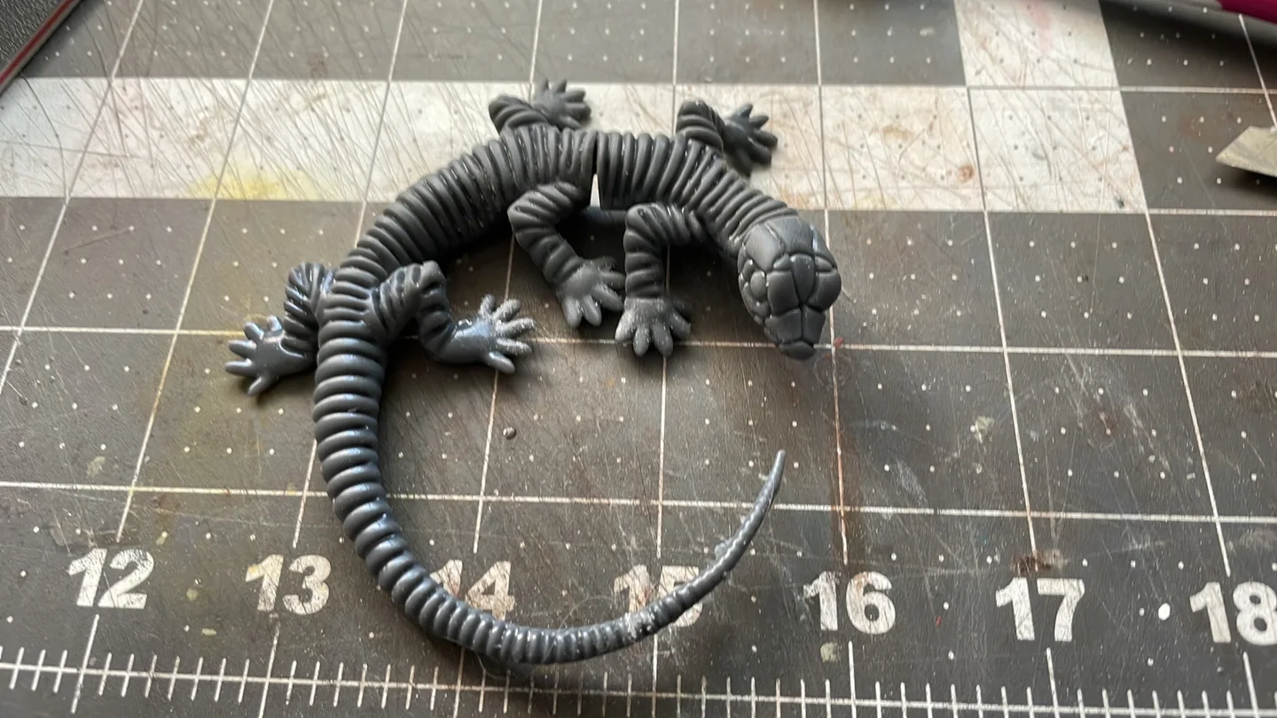 6 Mascot Lizard — original photograph 3