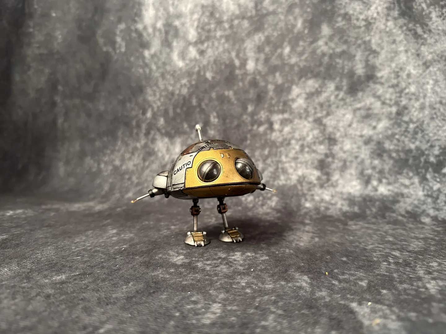 Wheems — original photograph 8